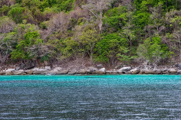 Shore Green Island Thailand — Stock Photo, Image