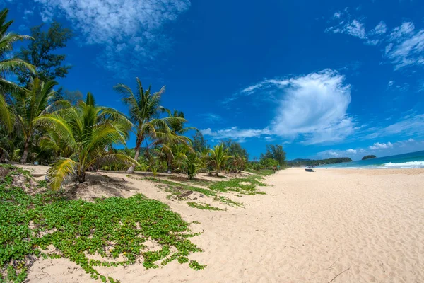 泰国美丽的海滨 有棕榈树 — 图库照片