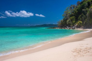 Küçük bir cennet adasında güzel bir sahil