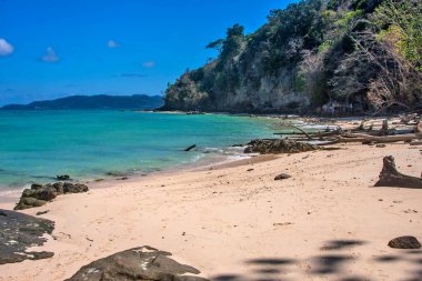 Tayland 'da tropik plaj