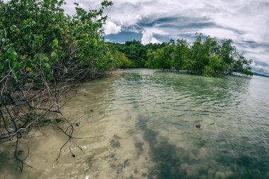 Güzel ve sakin suyu olan küçük bir koy.