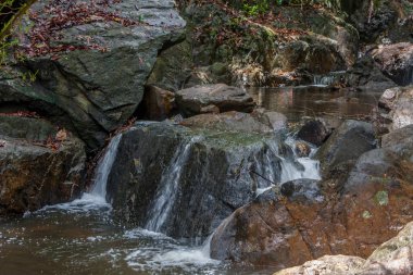 Tayland 'ın güzel ormanında şelale