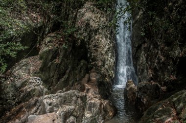 Tayland 'ın güzel ormanında şelale