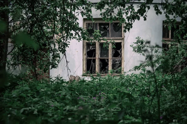 Vackert Krossat Fönster Ett Gammalt Övergivet Hus Skogen — Stockfoto