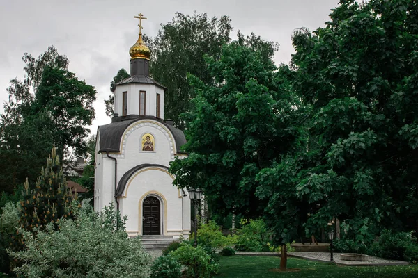 Hermoso Árbol Entrada Iglesia Blanca Detrás — Foto de Stock