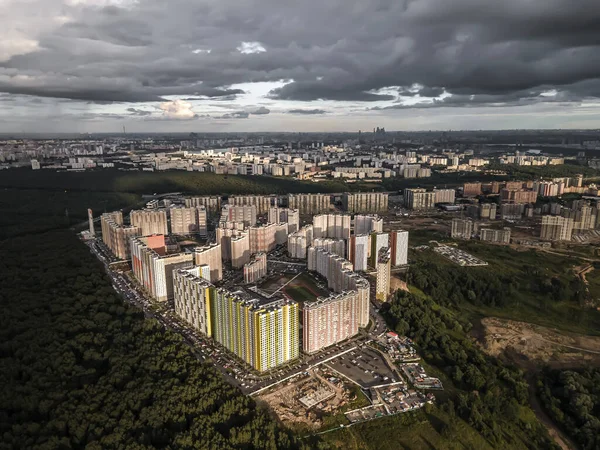 Huizen Buurt Van Een Groot Bos Onder Een Bewolkte Hemel — Stockfoto