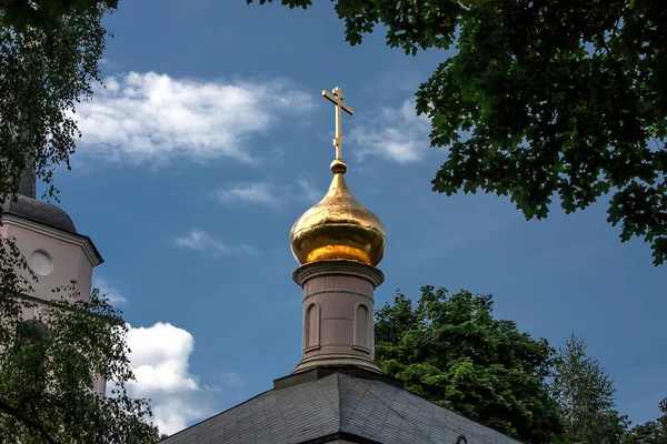 Golden Dome Church Trees — Stock Photo, Image