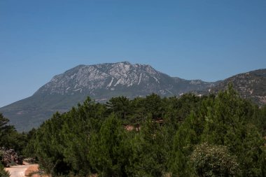 Ağaçları ve yüksek dağları olan güzel bir manzara.