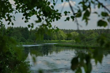 Güneşli bir yaz gününde eski bir nehir yatağı Moskova nehri.