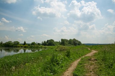Lokhin adasındaki orman yolu..