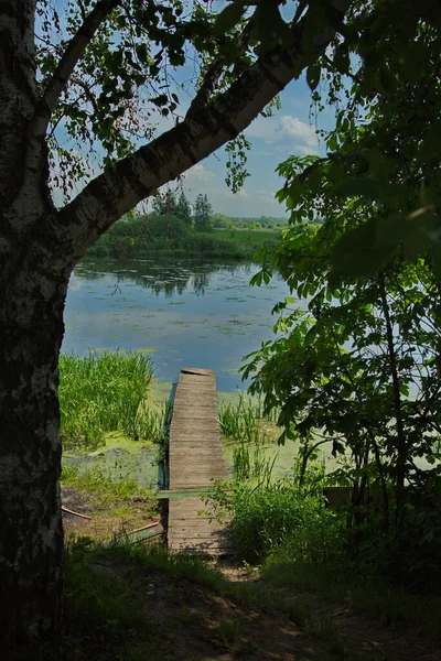 Jetée Bois Bord Rivière — Photo