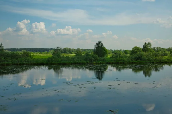 Altes Flussbett Des Moskauer Flusses Einem Sonnigen Sommertag — Stockfoto