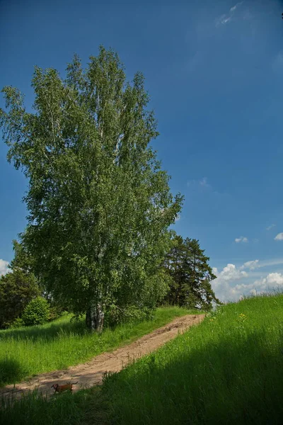 Сільські Дороги Центральної Смуги Росії — стокове фото