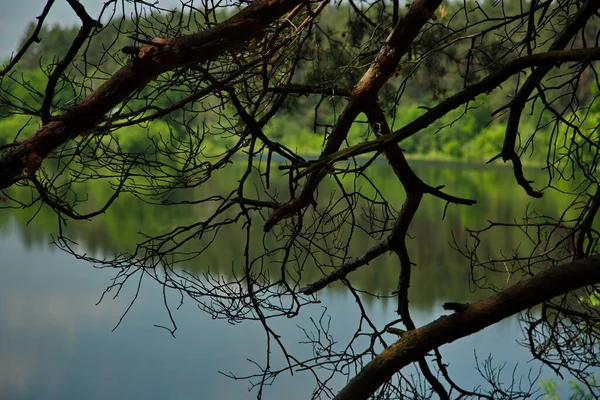 Lac Forestier Fosse Sourde Par Une Journée Ensoleillée Été — Photo