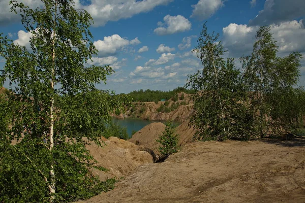 Vegetación Las Montañas Romantsevsky Región Tula Rusia — Foto de Stock