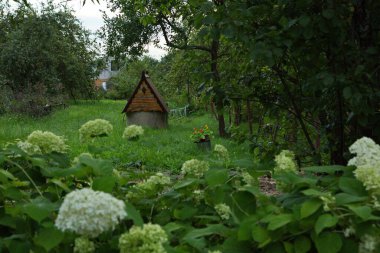Bir yaz akşamında bahçe çiçekleri.