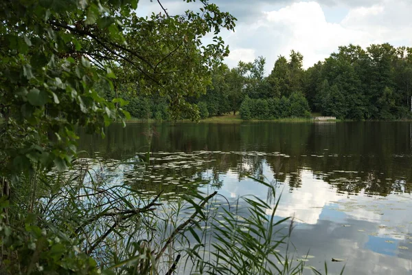 Las Orillas Del Lago Chernoe Las Proximidades Ciudad Pokrov Región —  Fotos de Stock