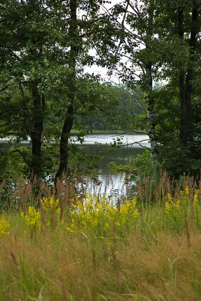 Sulle Rive Del Lago Chernoe Nelle Vicinanze Della Città Pokrov — Foto Stock