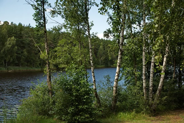 Las Orillas Del Lago Chernoe Las Proximidades Ciudad Pokrov Región —  Fotos de Stock