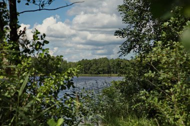 Rusya 'nın Vladimir bölgesinde, Pokrov kasabasının yakınlarındaki Chernoe Gölü kıyılarında..