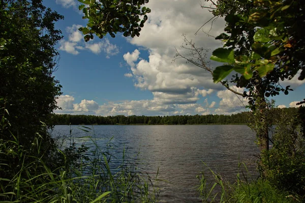 러시아의 블라디미르 지역인 포트로 근처에 호수의 안에서 — 스톡 사진