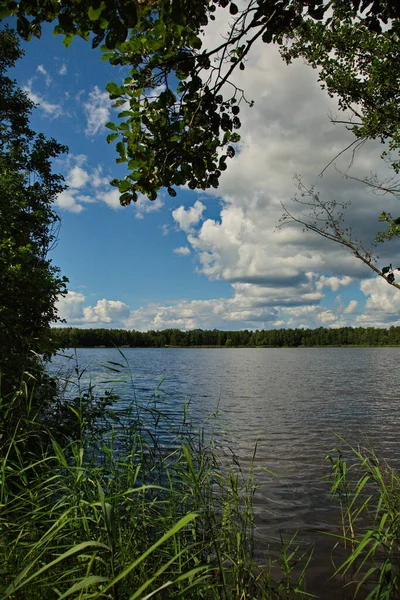 Nas Margens Lago Chernoe Nas Proximidades Cidade Pokrov Região Vladimir — Fotografia de Stock