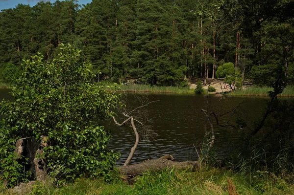 Břehu Černoe Blízkosti Města Pokrov Vladimir Region Rusko — Stock fotografie