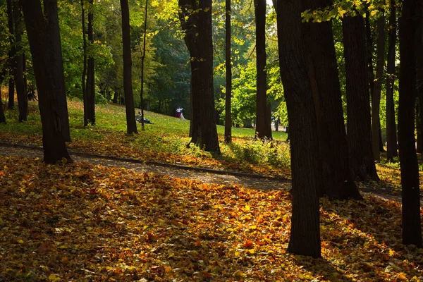 Şehir Parkının Sonbahar Renkleri — Stok fotoğraf