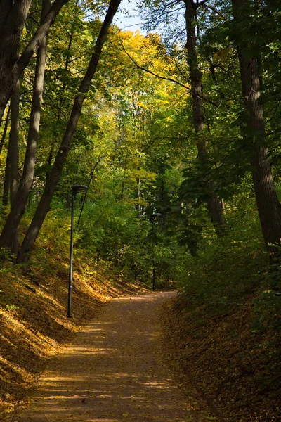 Giornata Autunnale Nel Parco Cittadino — Foto Stock