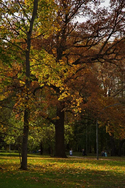 Journée Ensoleillée Automne Dans Parc Ville — Photo