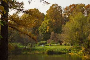 Şehir parkında güneşli bir sonbahar günü.