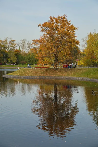 Giornata Autunnale Sole Nel Parco Cittadino — Foto Stock