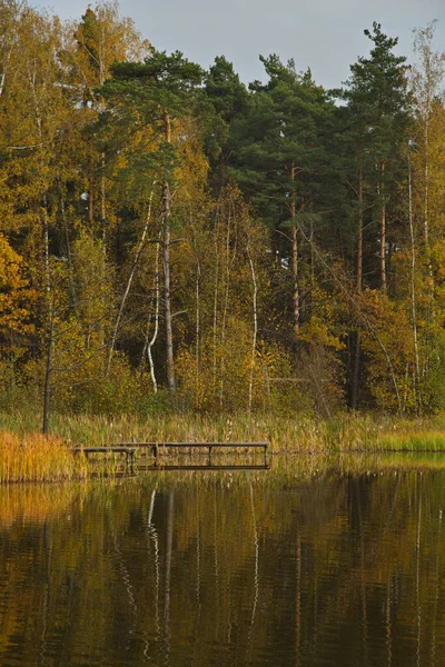 Napos Őszi Nap Tavon Városi Parkban — Stock Fotó