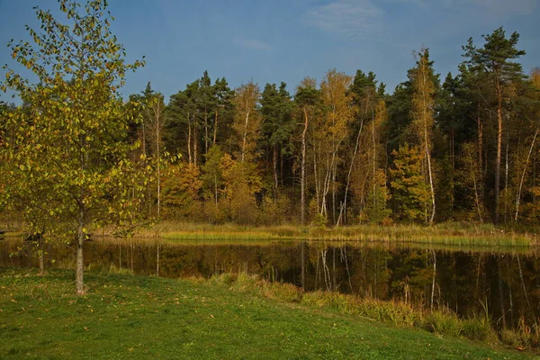 Солнечный Осенний День Пруду Городском Парке — стоковое фото