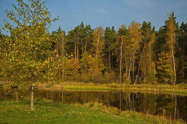 공원의 연못에서의 어스름 — 스톡 사진