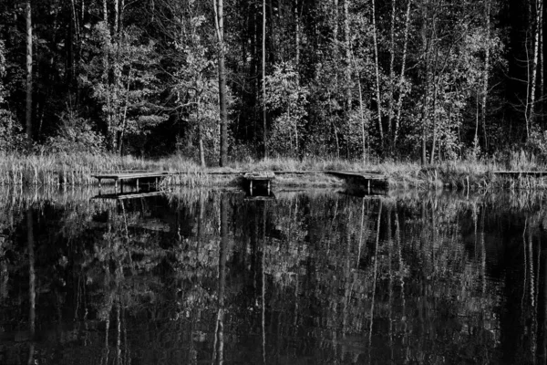 Zonnige Herfstdag Vijver Het Stadspark — Stockfoto