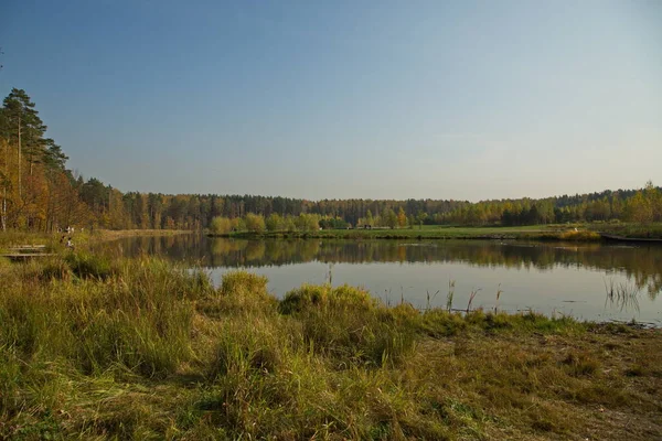 Солнечный Осенний День Пруду Городском Парке — стоковое фото