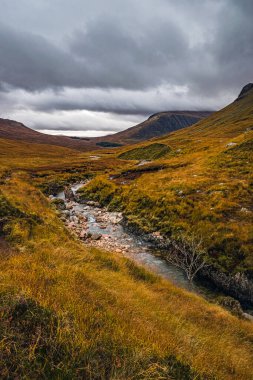 İskoçya 'daki Glen Etive tablosunda güzel renkleri olan sonbahar manzarası. Karamsar İskoç manzarası bulutlu bir günde.