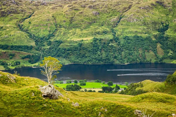 Skottlands Sommarlandskap Två Motorbåtar Kryssar Loch Lomond Skotska Höglandet — Stockfoto