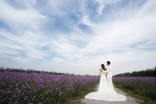 Romantisches Lavendelhochzeitspaar — Stockfoto