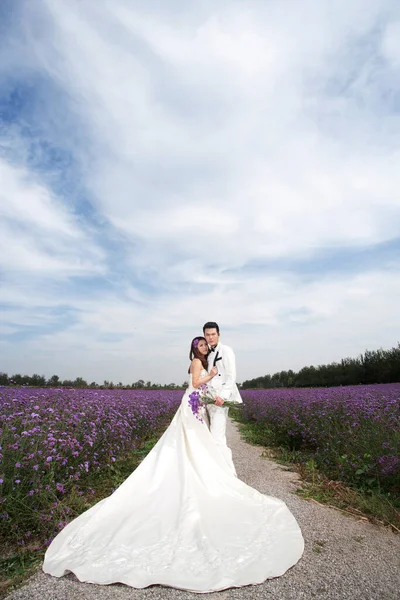 ロマンチックなラベンダー結婚式のカップル — ストック写真