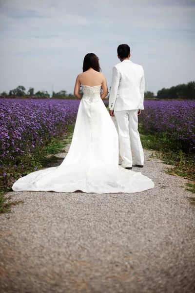 Romantisch Lavendel Bruiloft Paar — Stockfoto