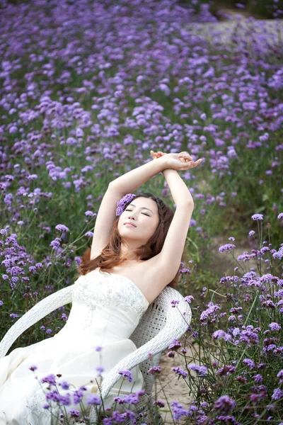 Schöne Braut Einem Lavendel — Stockfoto