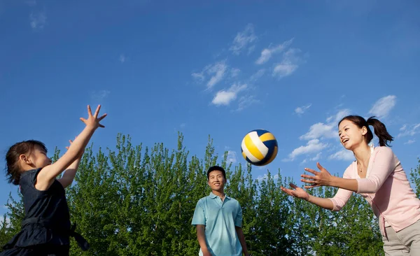 Счастливая Семья Играет Волейбол Парке — стоковое фото