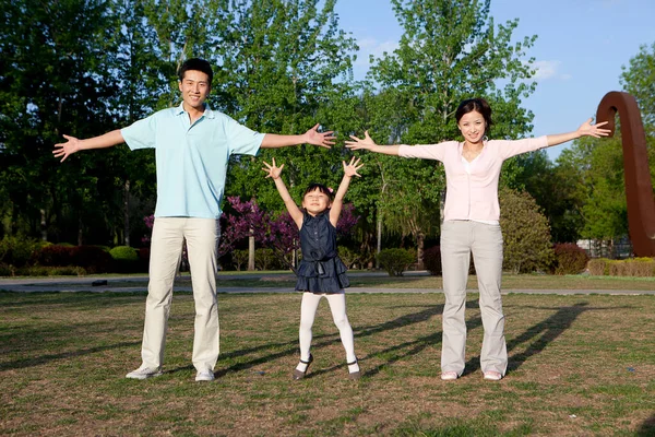 快乐的家庭在公园里做有氧运动 — 图库照片
