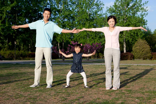 快乐的家庭在公园里做有氧运动 — 图库照片