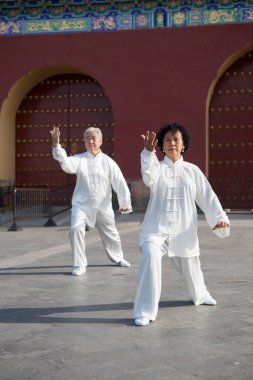 Parkta Tai Chi oynayan iki yaşlı insan.