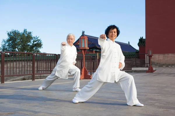 Two Old People Playing Tai Chi Park — Stock Photo, Image