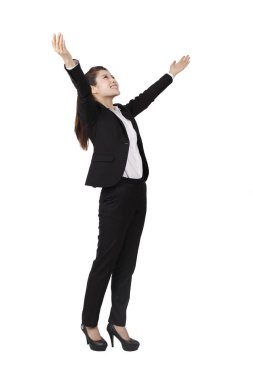 Bir iş kadınının portresi