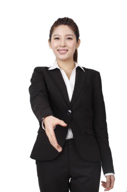 Bir iş kadınının portresi